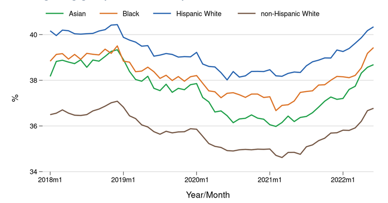 Average debt-to-income ratio, by race and ethnicity (read description in text)